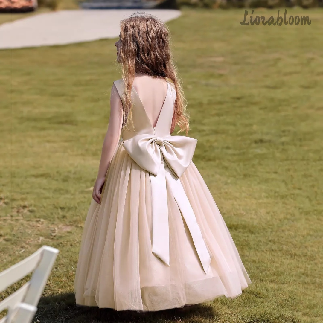 فستان أميرة متعدد الألوان بدون - مراجعة Women'S Formal Wear For Wedding وسعره